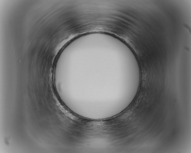 X0000100751134200807101657