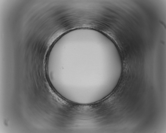 X0000100751135200807101657