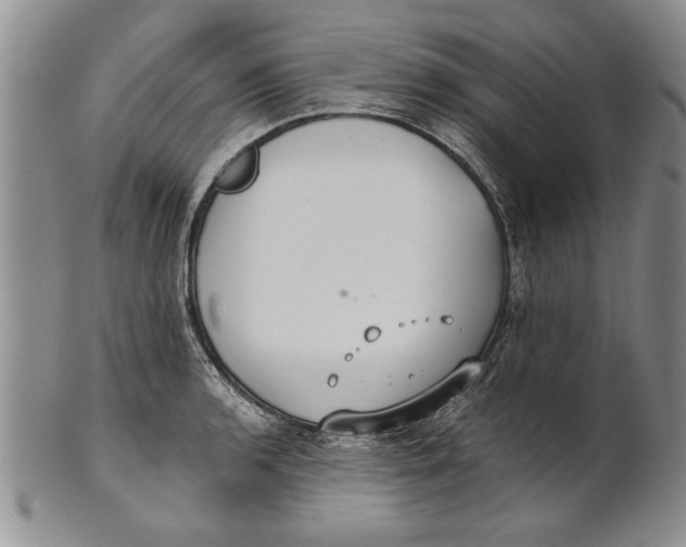 X0000100751136200807101657