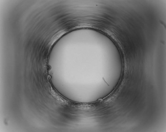 X0000100751137200807101657