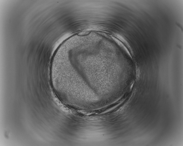 X0000100751138200807101657