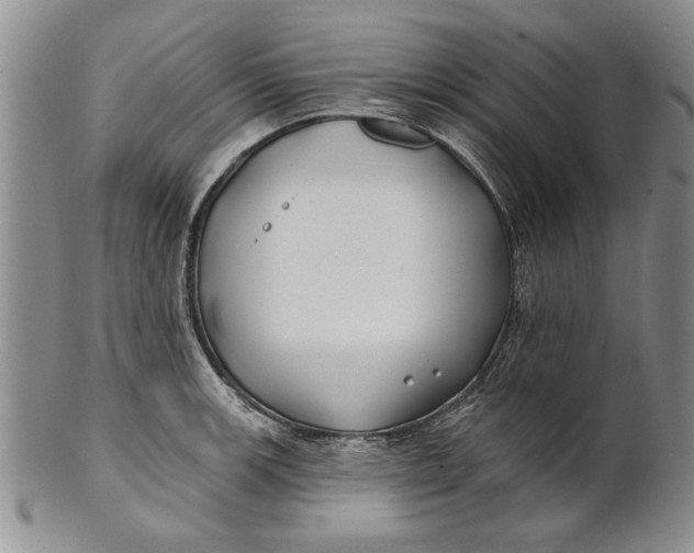 X0000100751139200807101657