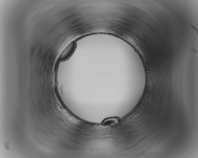 X0000100751140200807101657