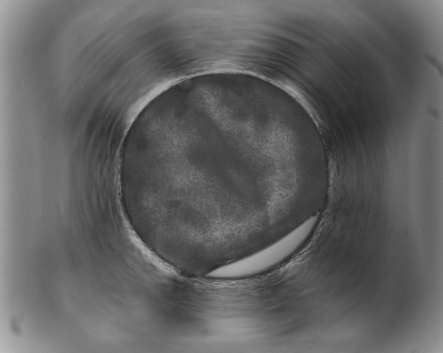 X0000100751142200807101657