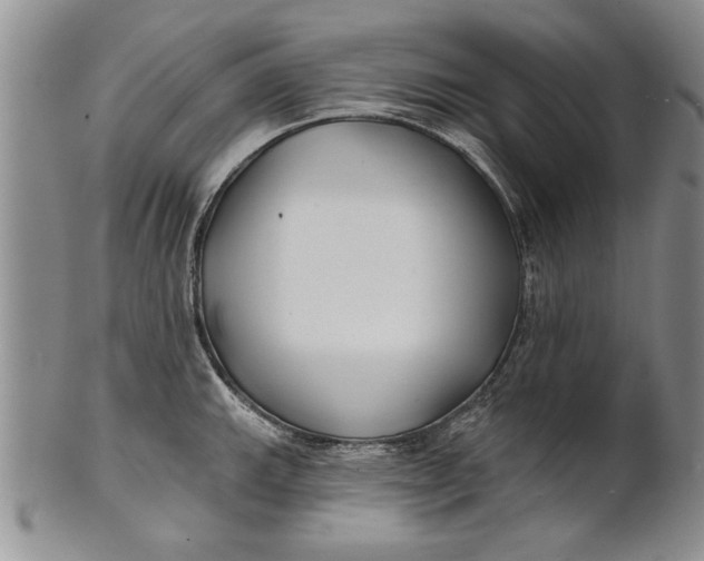 X0000100751143200807101657