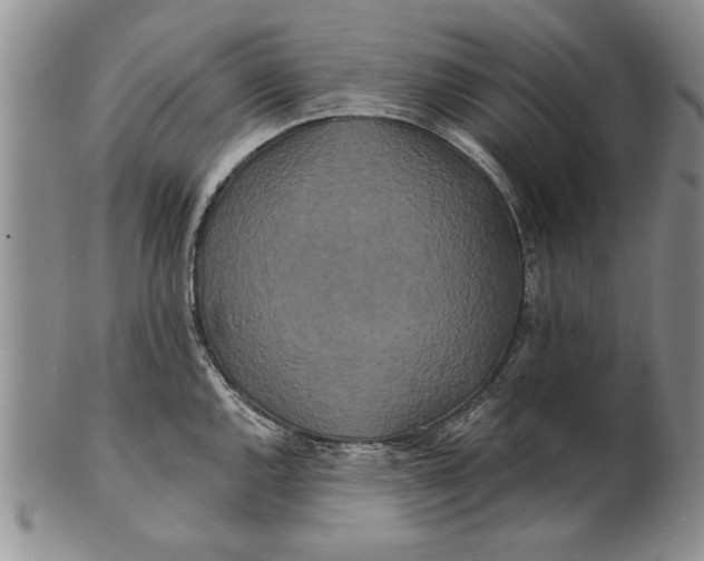 X0000100751144200807101657