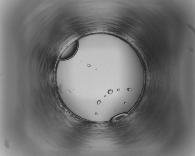 X0000100751145200807101657