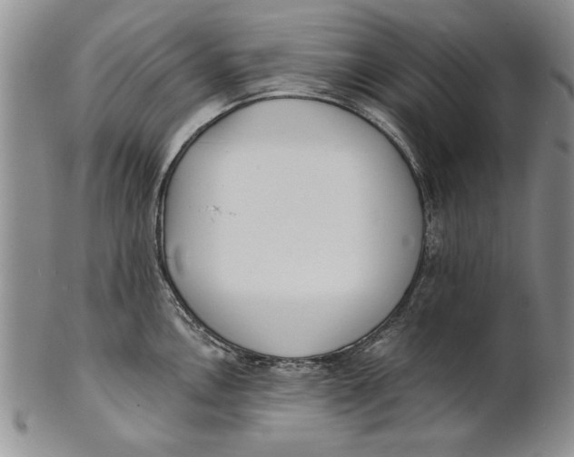 X0000100751146200807101657