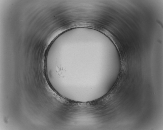 X0000100751147200807101657