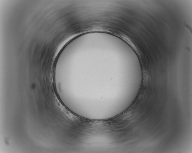 X0000100751148200807101657