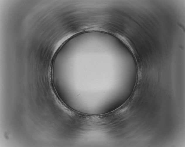 X0000100751149200807101657