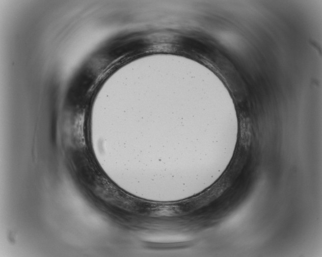 X0000100751150200807101657