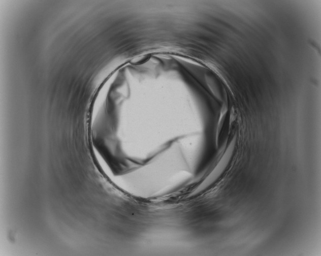 X0000100751151200807101657