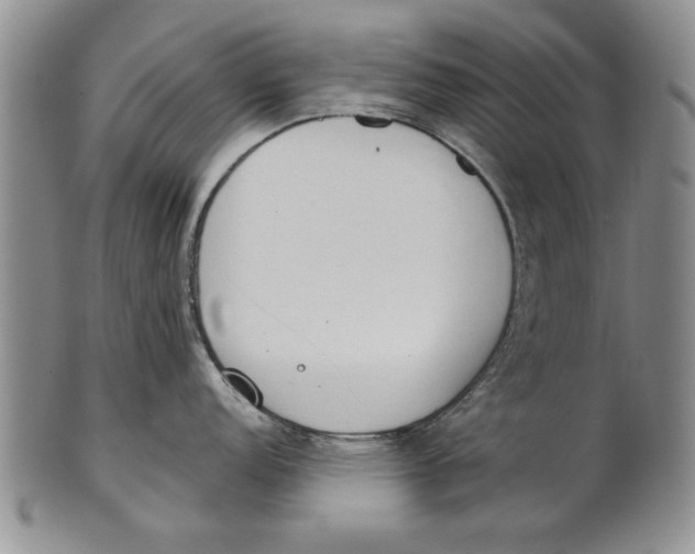 X0000100751152200807101657