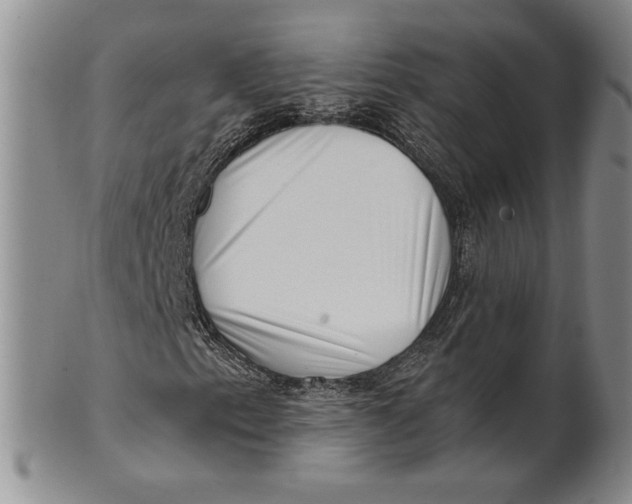 X0000100751153200807101656