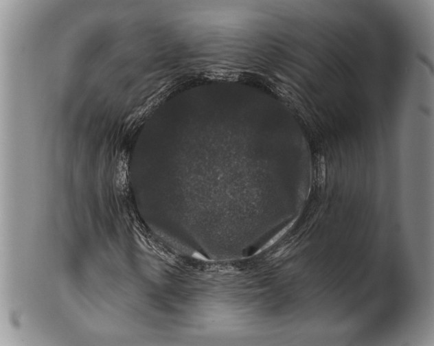 X0000100751154200807101656