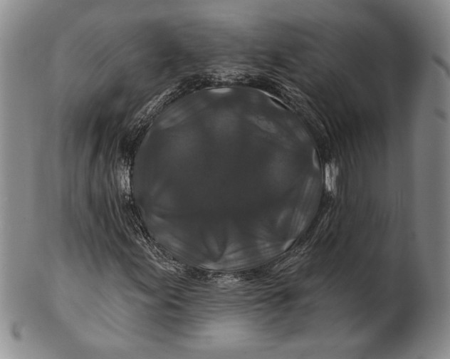 X0000100751155200807101656