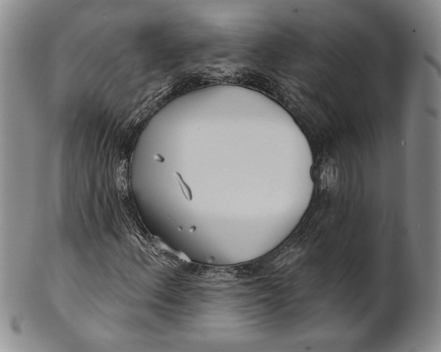 X0000100751156200807101656