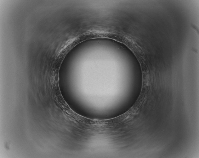 X0000100751157200807101656