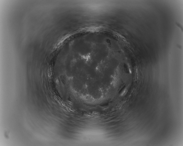 X0000100751158200807101656