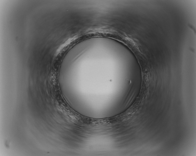 X0000100751159200807101656