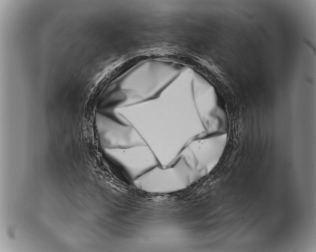 X0000100751160200807101656