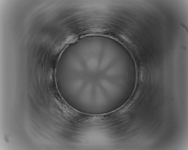 X0000100751161200807101656