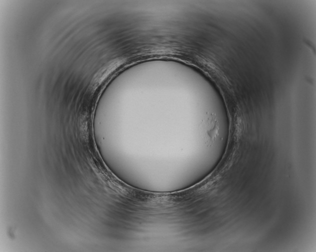 X0000100751162200807101656