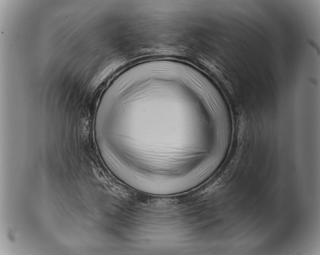 X0000100751163200807101656