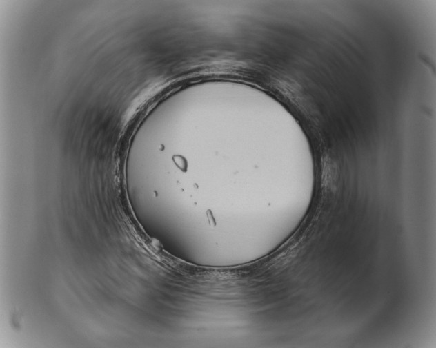 X0000100751164200807101656