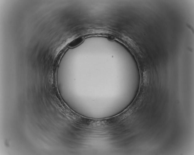 X0000100751165200807101656