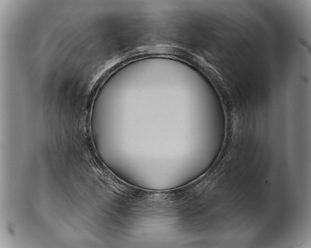 X0000100751166200807101656