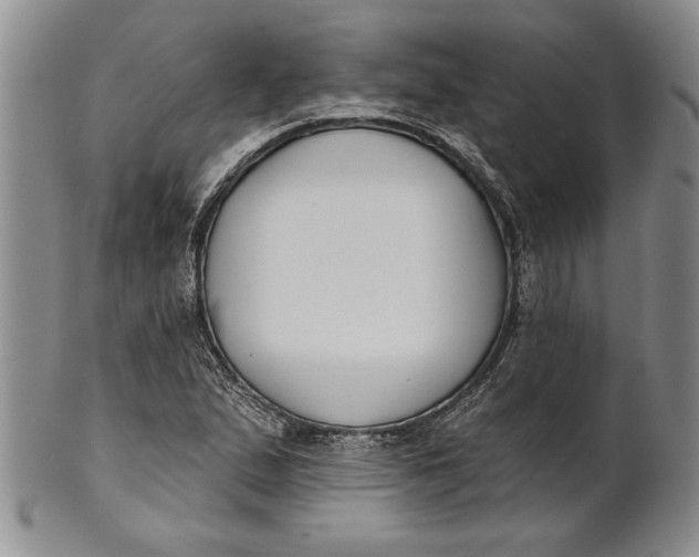 X0000100751167200807101656