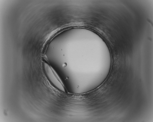 X0000100751168200807101656