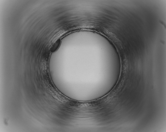 X0000100751169200807101656