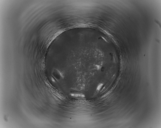 X0000100751170200807101656