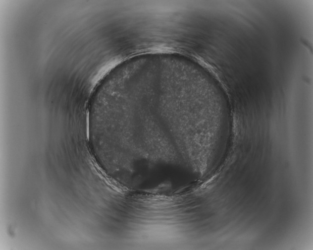 X0000100751171200807101656