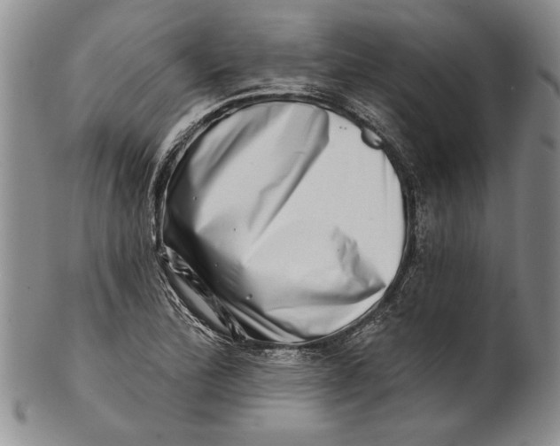 X0000100751172200807101656