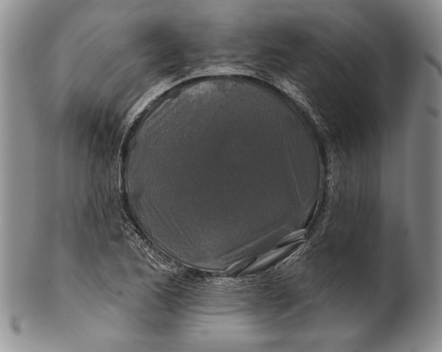 X0000100751173200807101656