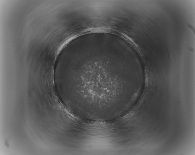 X0000100751174200807101656