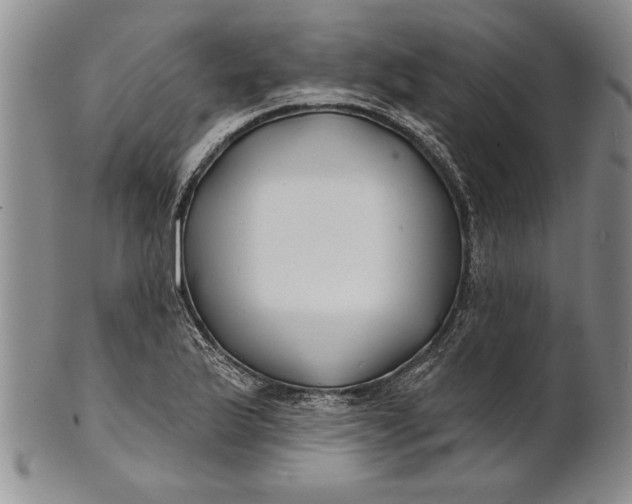 X0000100751175200807101656