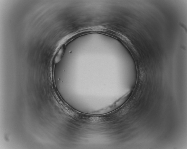 X0000100751176200807101656