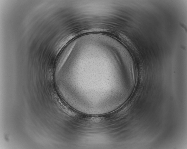 X0000100751177200807101656