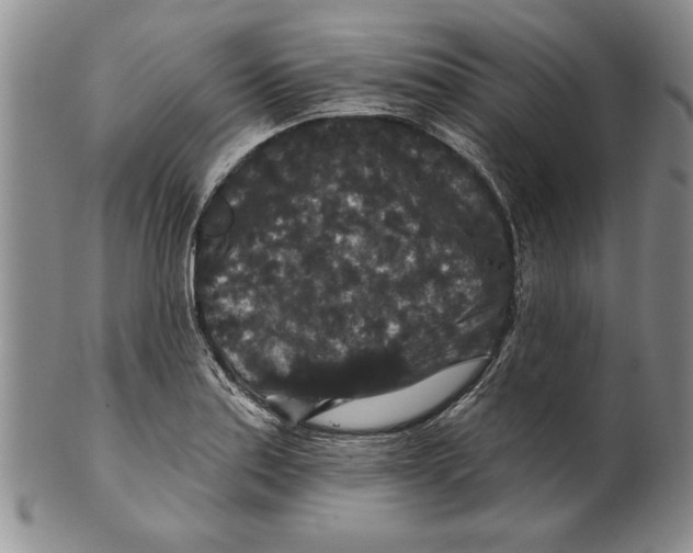 X0000100751179200807101656