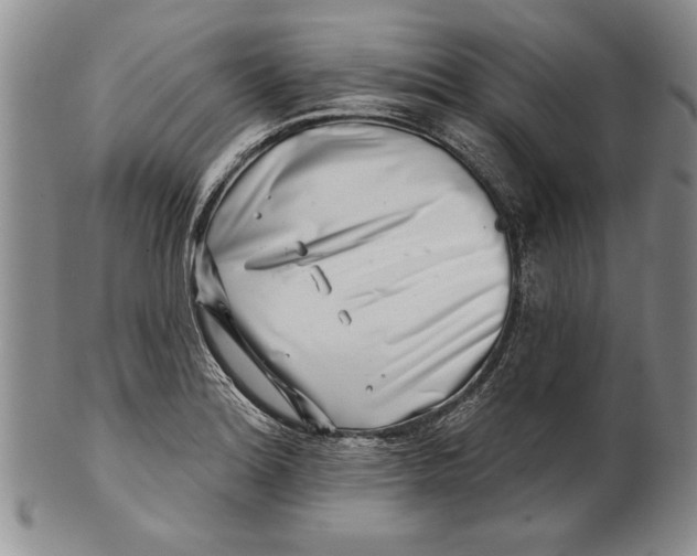 X0000100751180200807101656