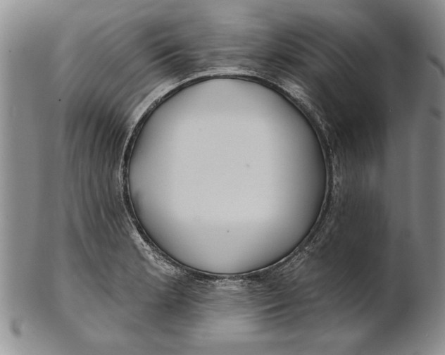 X0000100751181200807101656