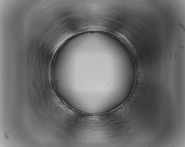 X0000100751182200807101656