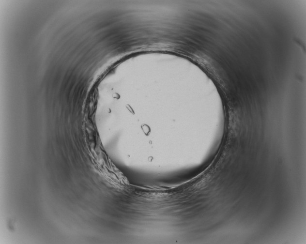 X0000100751184200807101656