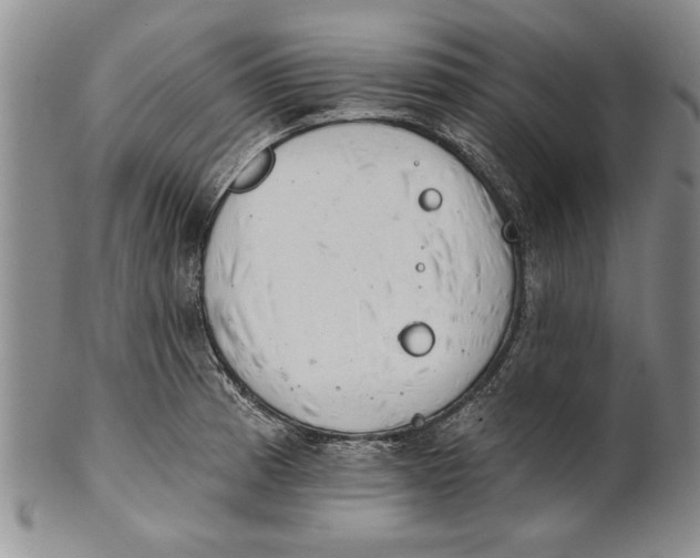 X0000100751185200807101656