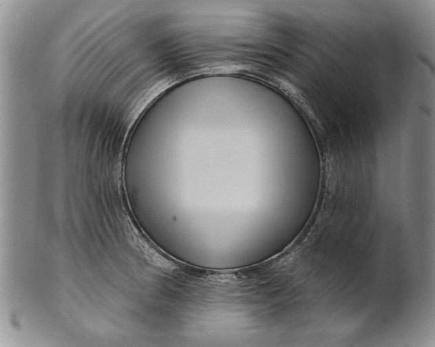 X0000100751186200807101656